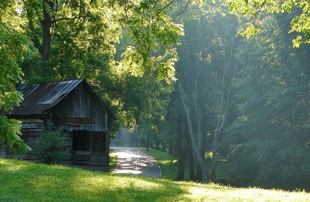 Stoney Hollow Farm Cabin