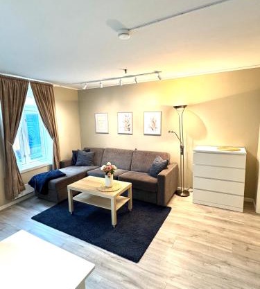 Stor attraktiv studioleilighet i sentrum