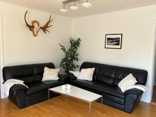 Stor leilighet på Finnskogen - stillhet og ro