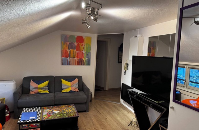 STRASBOURG Centre Beau F3 Petite France Centre historique 3* with parking included