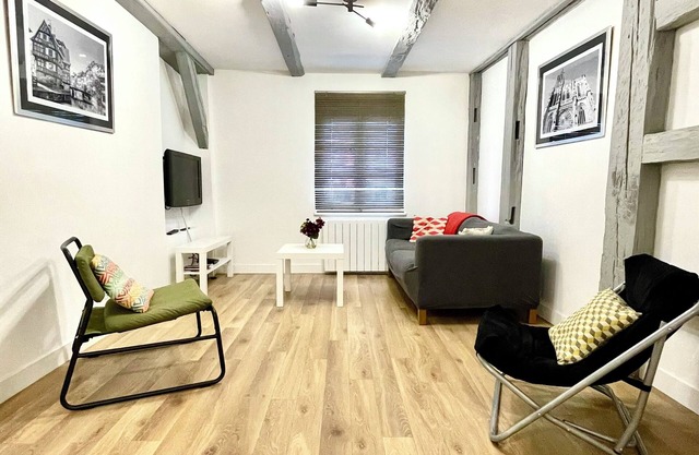 Strasbourg Magnifique Appartement Petite France center ville