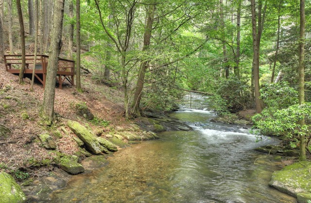 Streams and Daydreams - Relax by the river!