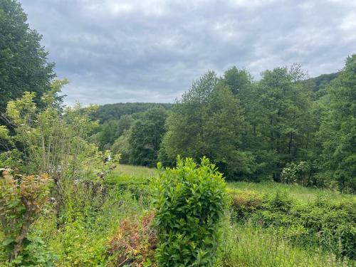 Struthhof Ferienwohnung