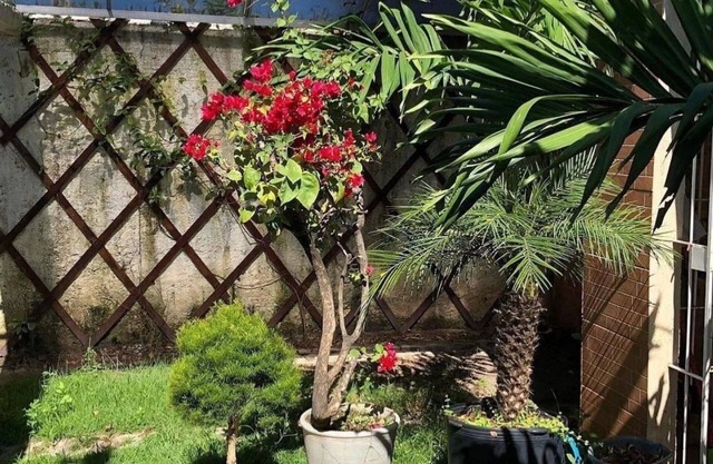 Studio Alto da Sé - A Joia de Olinda