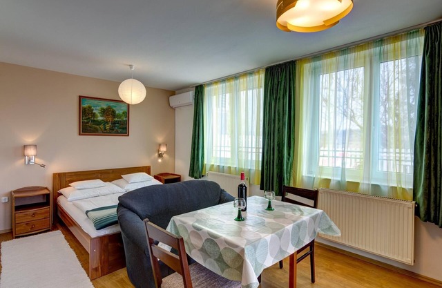 Studio Apartment in Heviz 2