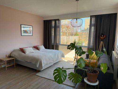 Studio Brinkstraat