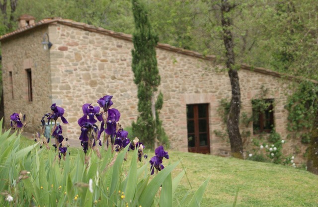 Studio in Chianti Villa in heart of Tuscany, super-large pool, 14 ha property