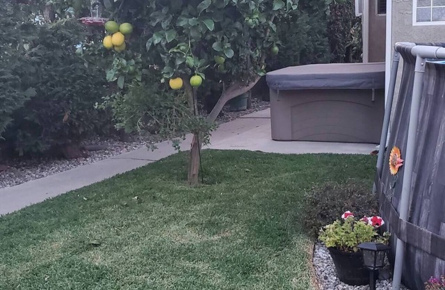 Studio in Southbay close to the beach SoFi stadium LAX