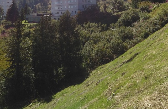 Studio SettimoCielo 4 beds