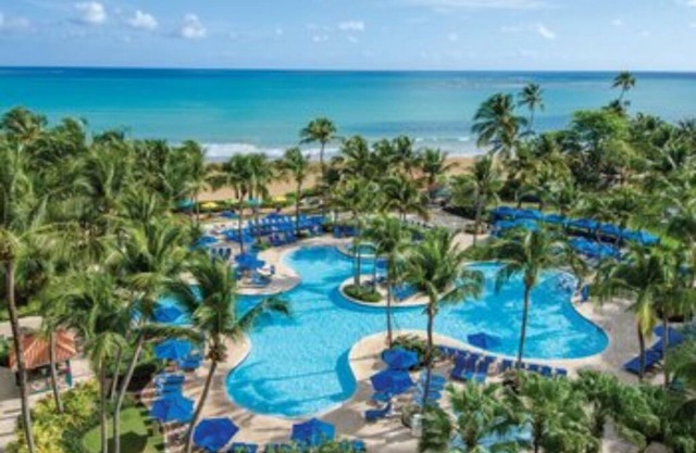 Studio Ste w/Ocean View, Margaritaville, Rio Mar, Puerto Rico, on Golf Course!
