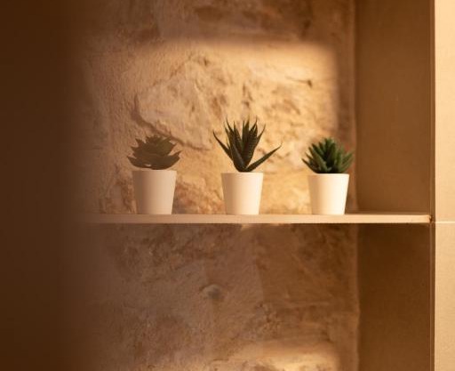 Studio Suites Mila