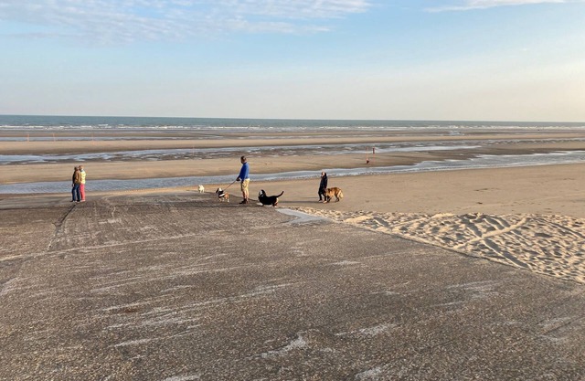 Studio vue sur mer Avec Piscine Interieure