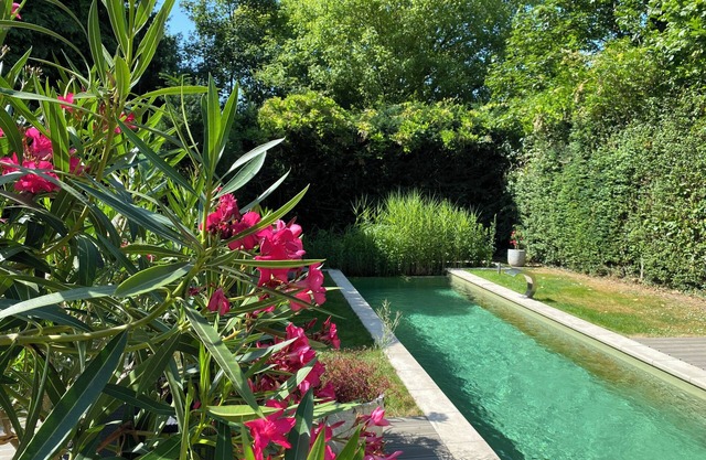 Studio with private natural pool. A haven of peace just outside Brussels!