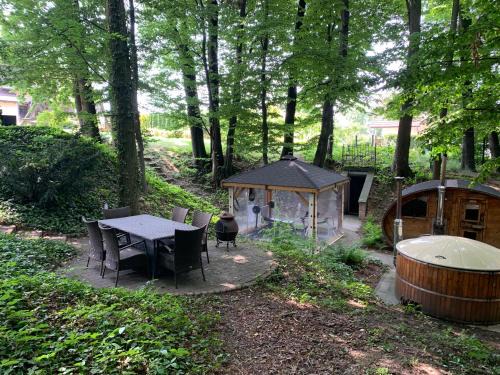Studio z kominkiem z leśną sauną, jacuzzi , w okolicy Cieszyn