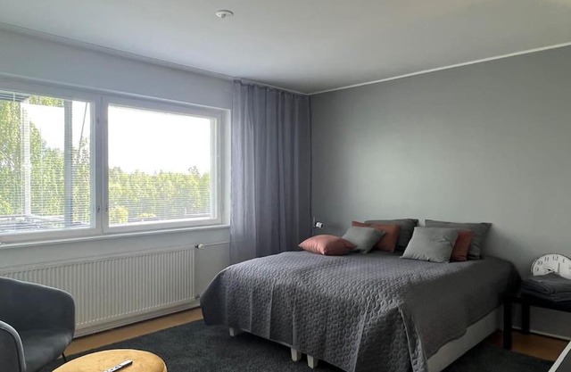 Studiohuoneisto Liisankatu