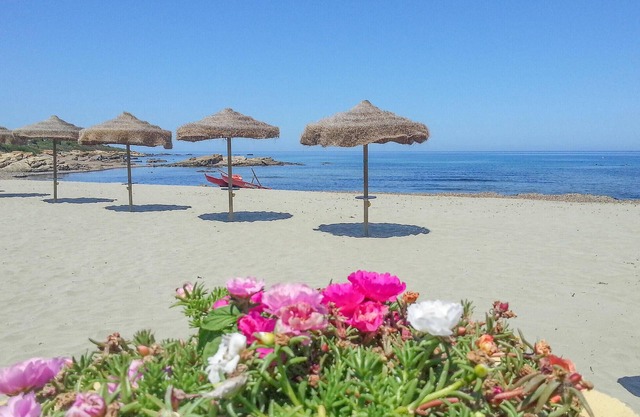 Stunning apartment in Villaputzu