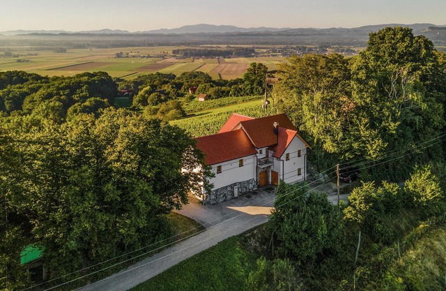 Stunning home in Velika Nedelja