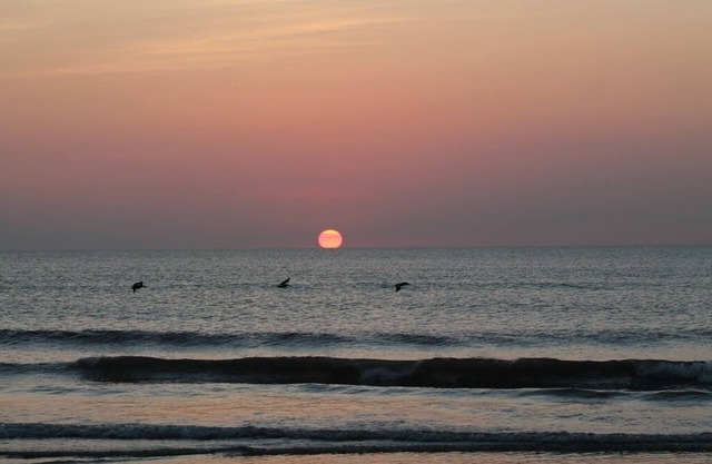 Stunning Ocean & Pool View 2/2 Ormond Beach Florida #204