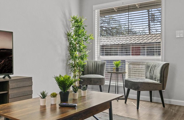 Stylish 1BR Zilker Evonify