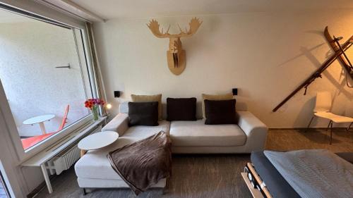 Stylish Alpine Studio in Davos, Wifi & Netflix