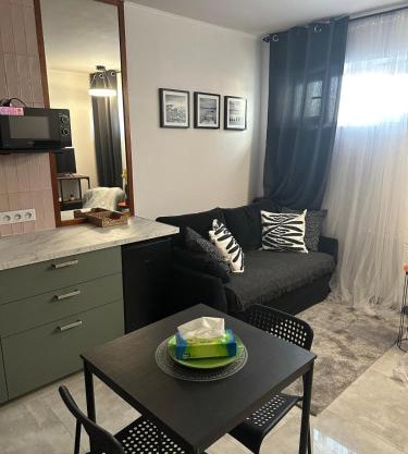 Stylish apartmens near Minsk Mazowiecki