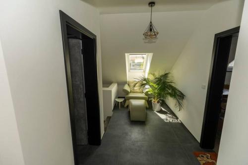 Stylish new "PLAYGROUND" flat with Bondage Cross & Private fitness in new family house