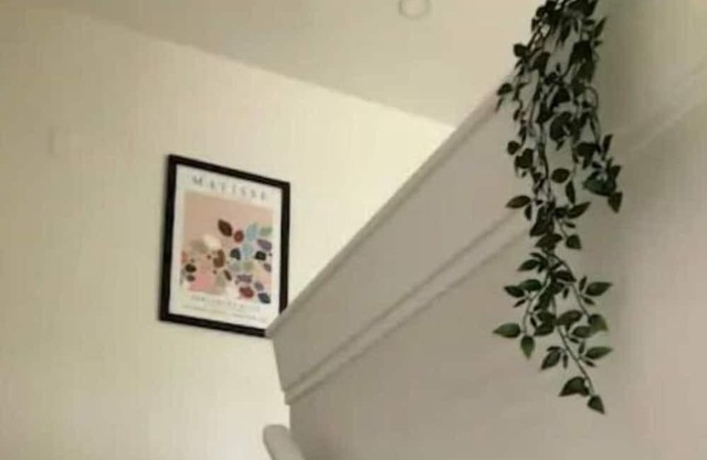 Stylish Renovated 4BR Home W/Large Backyard