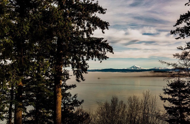 Suite with a View- Private Balcony- Pet Friendly