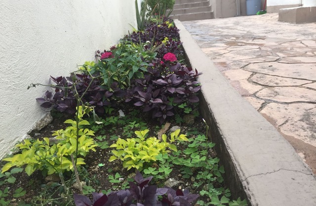 Suites Ripoll Córdoba