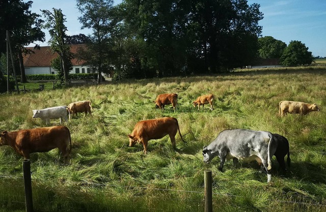 Summer vacation at Lake Möhne There are many excursion destinations in our beautiful region