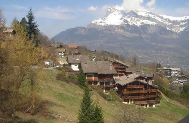 SUMMER/WINTER SKI RENTALS available: Large FAMILY Apartment (1bedroom+1cabine)