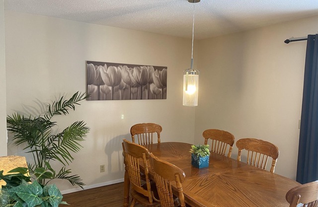 SUMMIT & CITY STAY VRBO HOME —River, Mountains, Downtown, Mall, Stampede & More!