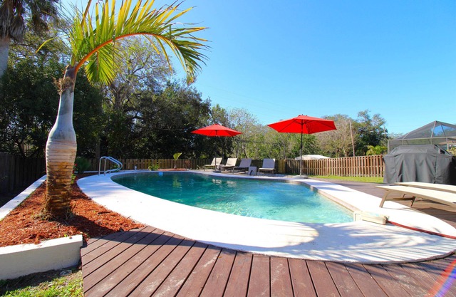 Sun-Soaked FL Haven | Heated Pool | Palm Harbor