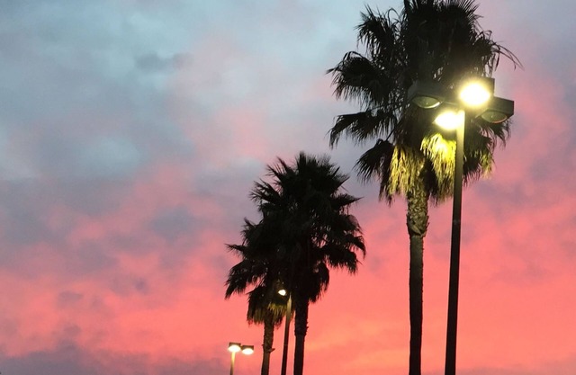 Sunny and spacious near golf course fenced yard great for your dog or kids