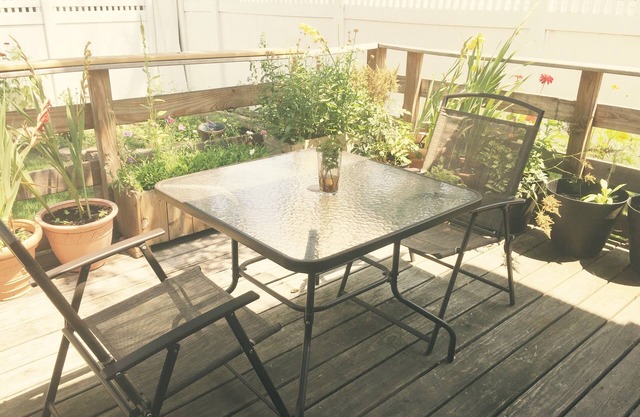 Sunny, Contemporary 1 Bedroom Apartment With Large Patio