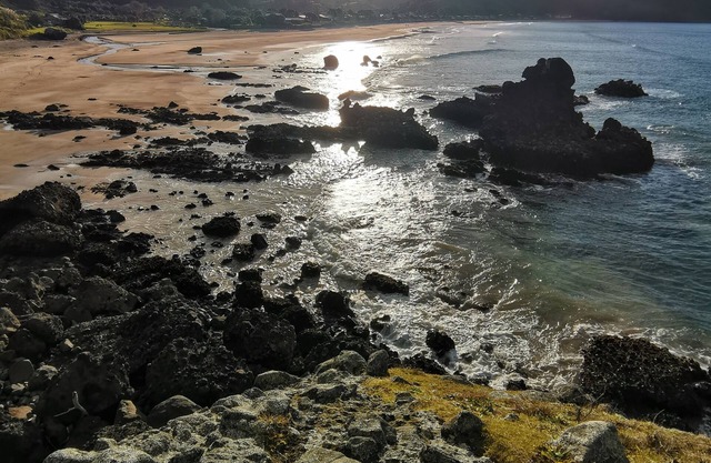 Sunny Daze - Taupo Bay