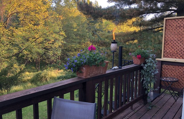 Sunny Peaceful Suburban Washington DC Escape