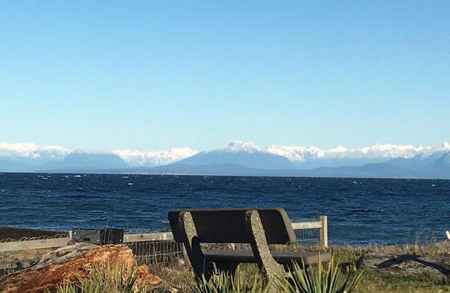Sunny suite near the ocean! Private entrance, gas fireplace, king size bed.