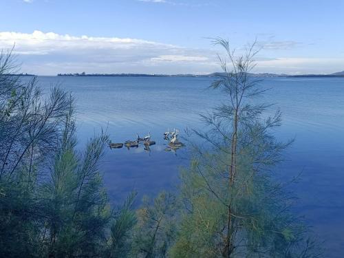 Sunrise lake house
