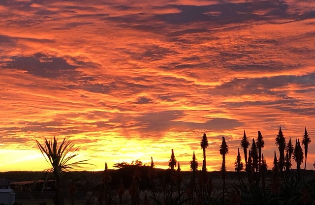 Sunset Beach, the undiscovered West Coast gem and dog heaven