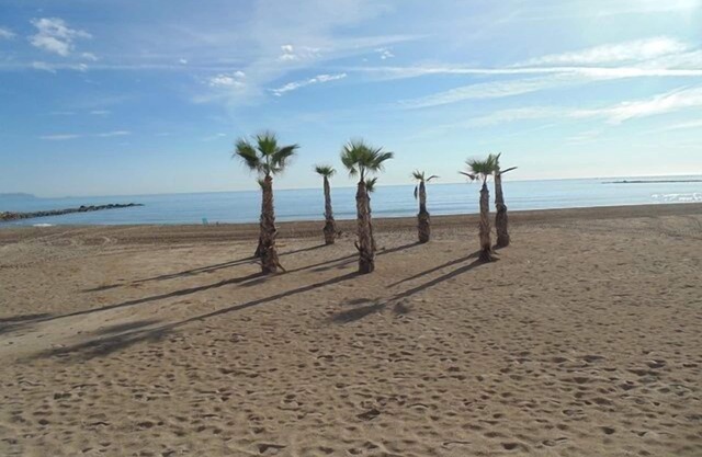 Super 3 bedroom apartment only 50 metres from the beach Sleeps 5 people.