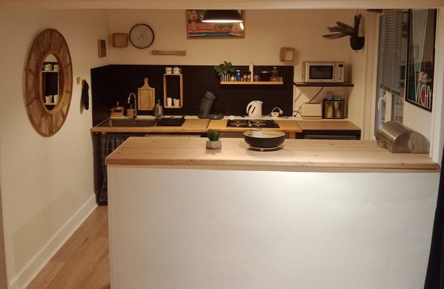 Super studio on garden level