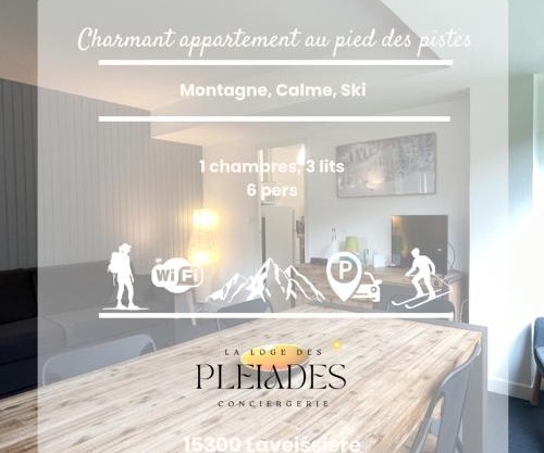 Superbe Appartement au pieds des pistes de ski avec parking et cassier