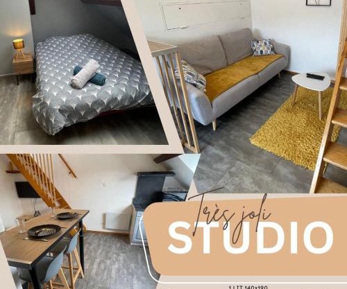 Superbe studio à proximité du centre-ville