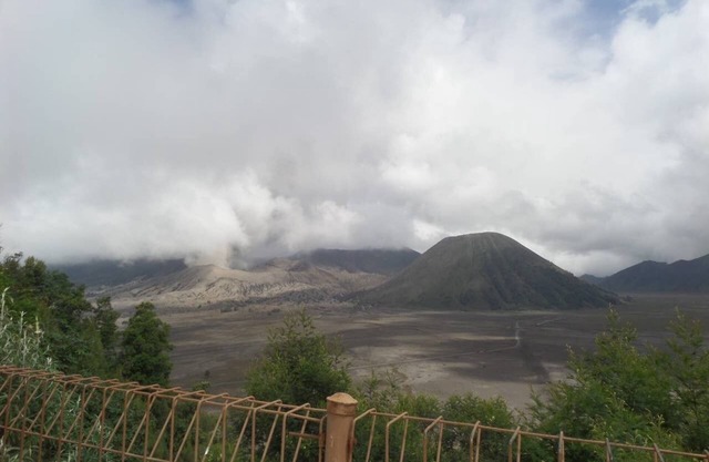 Superior Cemara Indah at Cemara Lawang, Bromo