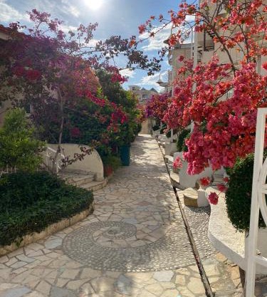 Superior Private Apartment at the Resort in Sarande
