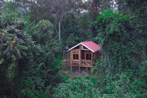 Supreme Adventure Park Bunyonyi