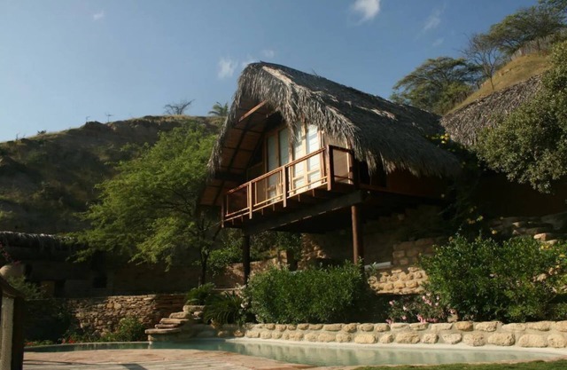 Surfingbirds Suite and other rooms with a view