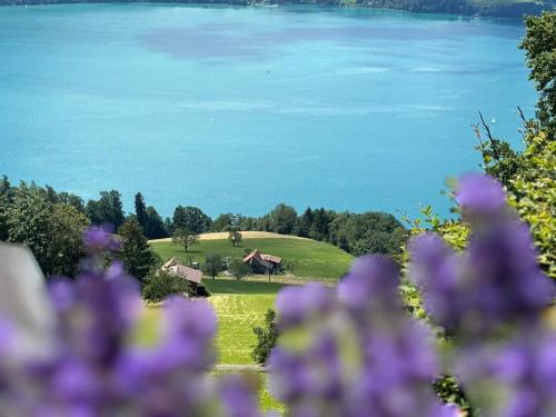 Sweet Retreat W Dreamy Lakeviews