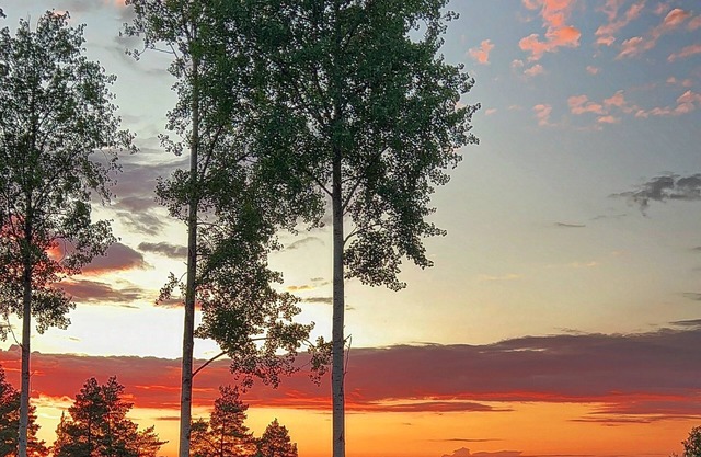 Tahlo Hillhouse with lakeside sauna